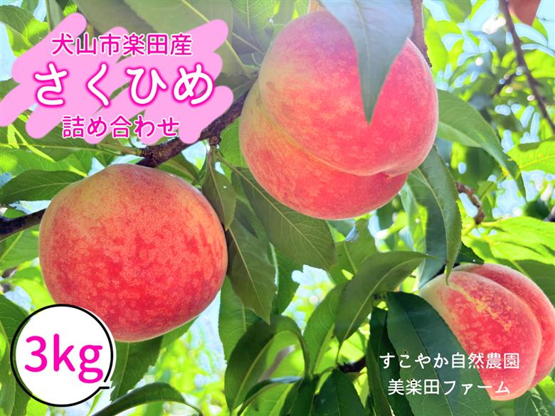 【2026年先行予約】犬山市楽田産 桃（さくひめ）3kg ｜ 桃 甘い 詰め合わせ 3kg さくひめ 美楽田ファーム すこやか自然農園 もも モモ 犬山 ご自宅用 贈答 贈り物 プレゼント ご褒美 楽田 愛知県