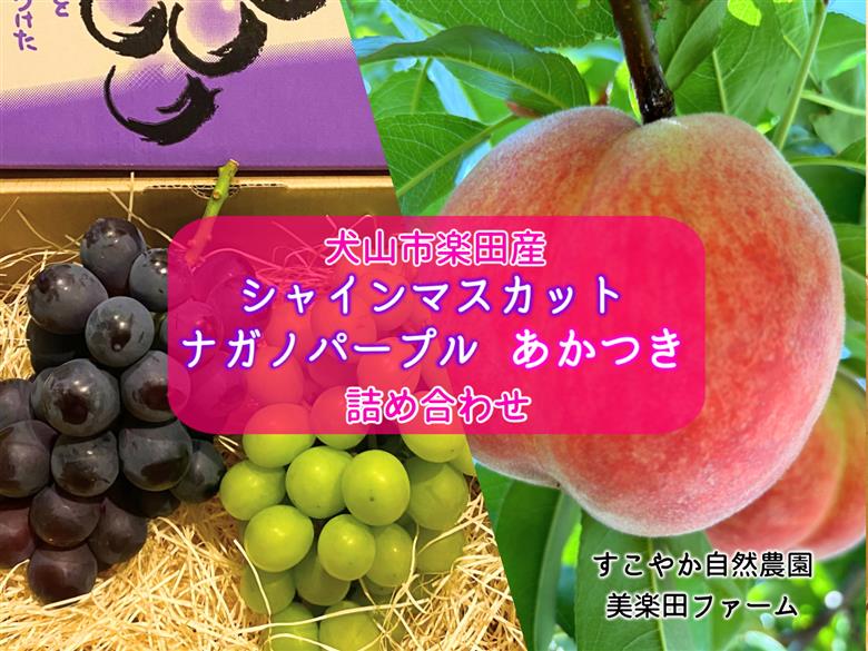 【2026年先行予約】犬山市楽田産 葡萄（シャインマスカット、ナガノパープル）、桃（あかつき）詰め合わせ ｜ ぶどう ブドウ 葡萄 シャインマスカット ナガノパープル もも モモ 桃 あかつき 甘い 詰め合わせ 美楽田ファーム すこやか自然農園 犬山 ご自宅用 贈答 贈り物 プレゼント ご褒美 楽田 愛知県