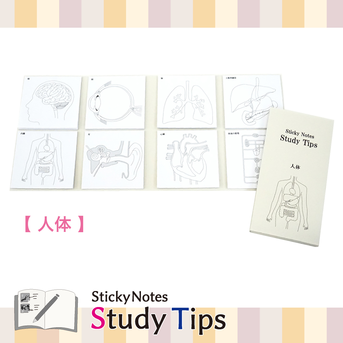 人体付箋 【Sticky Notes Study Tips】 (スタディチップス) 人体｜付箋 人体 学習 付せん 勉強 セット 文具 メモ プレゼント 便利 書き込み 役立 塾 メモ帳 ギフト 子供 子ども 孫 受験 予習 復習 宿題 8種類 ブック型
