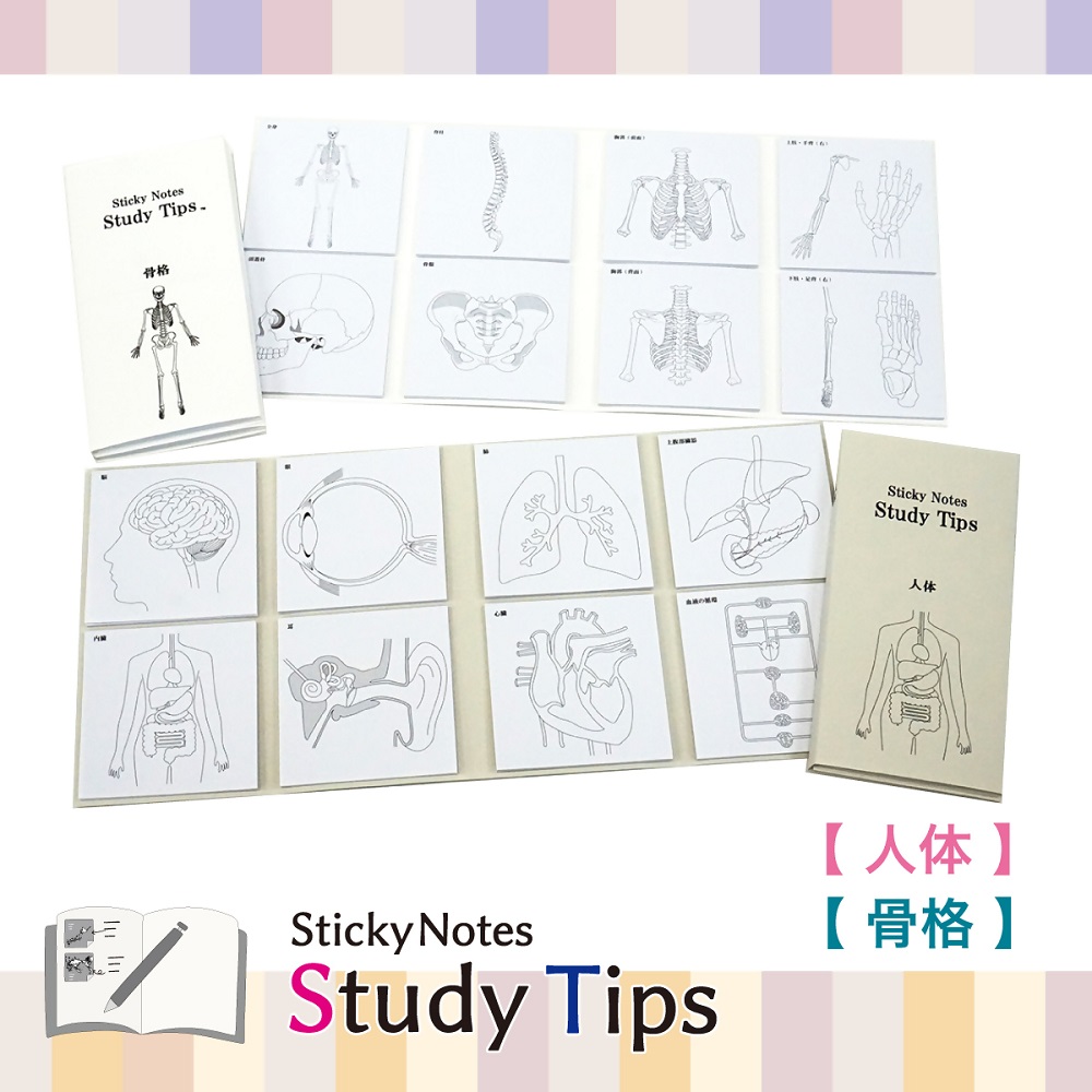 人体付箋 【Sticky Notes Study Tips】 (スタディチップス) 2種セット 人体・骨格｜付箋 人体 骨格 医師 医者 医学 からだ ほね 学習 付せん 勉強 セット 文具 メモ プレゼント 便利 書き込み 役立 塾 メモ帳 ギフト 子供 子ども 孫 受験 予習 復習 宿題 8種類 ブック型