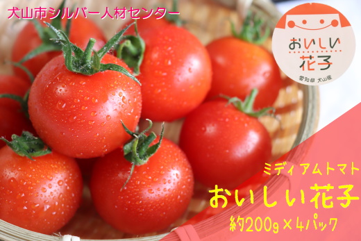 とても甘いトマト「おいしい花子」 ｜ トマト とまと 完熟 国産 フルティカ 甘い 糖度 リコピン 健康 美容 生活習慣病 ミニトマト ミディアムトマト フルーツトマト 肉厚 800ℊ