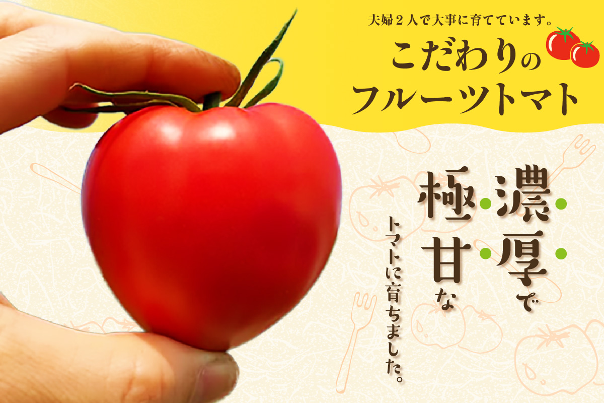 【先行予約】【2026年3月下旬から順次発送】尾州常滑フルーツトマト麗妃 トマト フルーツトマト 麗妃 れいき リコピン 新鮮野菜 太陽の恵み 濃厚 完熟 トマト料理 トマト鍋 愛知県産 国産 お取り寄せ グルメ 愛知県 常滑