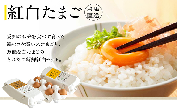 ココテラスの新鮮な卵とお菓子の堪能セット