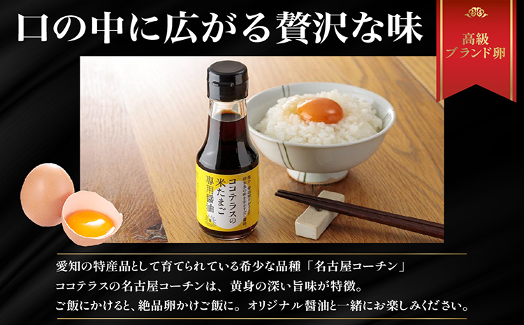 【高級】名古屋コーチンセット（2パックと醤油）【JGAP認証】 卵 卵かけご飯 TKG 高級卵かけご飯 朝食 朝ごはん 贈り物 ギフト たまご醤油 卵かけご飯用醤油 手土産 プレゼント 卵かけご飯セット 絶品 グルメ お取り寄せ 愛知県 常滑市