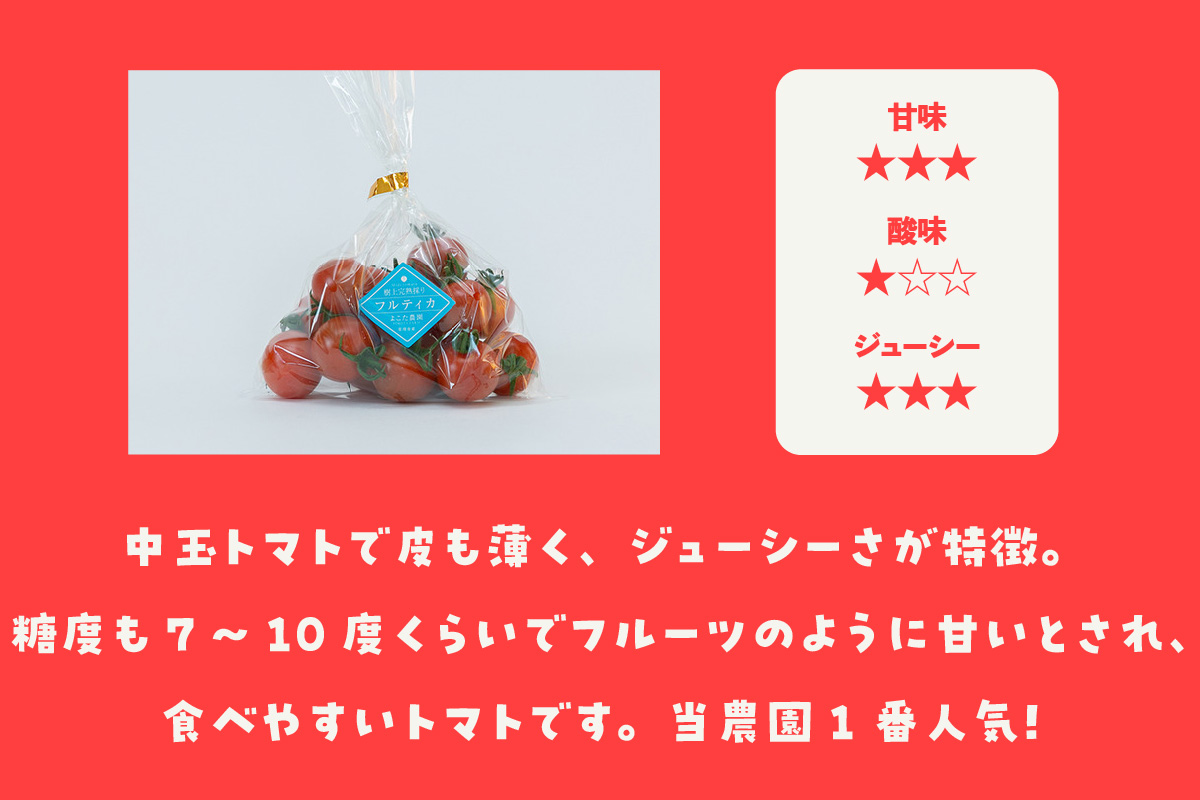 【先行予約】【5月中旬以降発送】フルーツトマト　中玉フルティカ1kg│よこた農園 フルティカ 野菜 トマト 新鮮野菜 太陽の恵み 中玉トマト トマト料理 愛知県産 フルーツとまと 甘いトマト お取り寄せ グルメ 常滑市