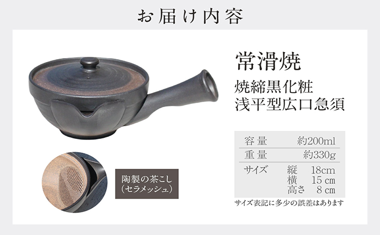 常滑焼 焼締黒化粧 浅平型広口急須 楽捨て構造 セラメッシュ（陶製茶こし）