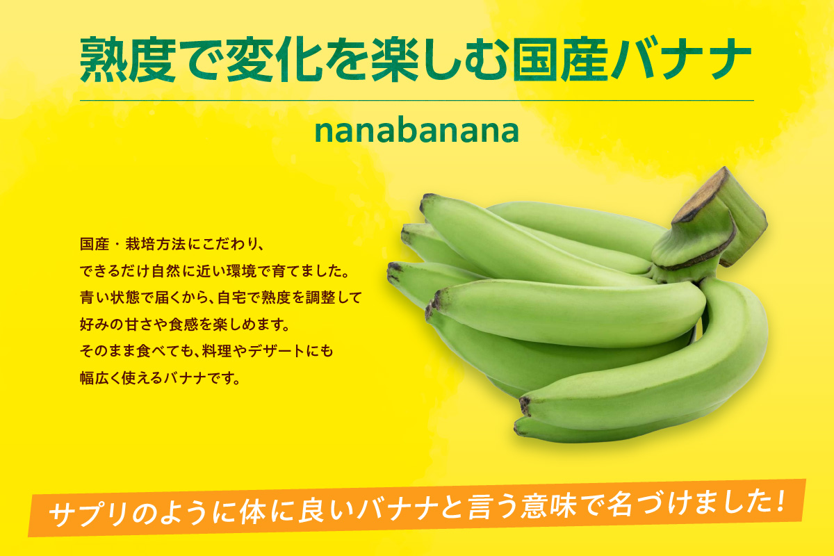グリーンバナナ（ななばなな）1kg | バナナ ばなな フルーツ 果物 グリーンバナナ 緑バナナ 追熟 南国 産地直送 常滑市産 愛知県産 国内産 健康 就労支援 農業 アスナロファーム 農福 農福連携返礼品 愛知県 常滑市