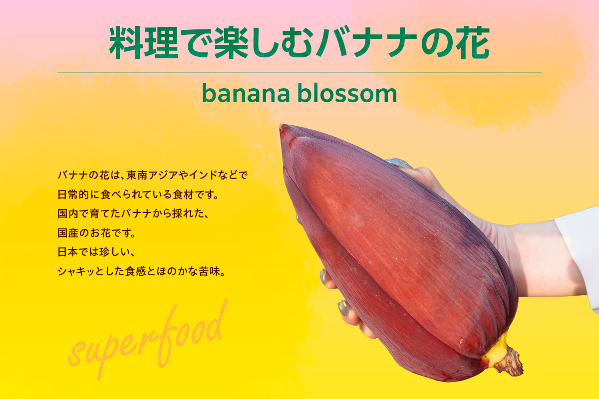 バナナの花　1個（300g以上） | バナナ ばなな 花 果物 フルーツ バナナハート 貴重 南国 産地直送 常滑市産 愛知県産 国内産 健康 就労支援 農業 アスナロファーム 農福 農福連携返礼品 愛知県 常滑市