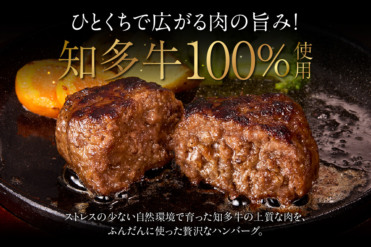 知多牛100％手作りハンバーグ　120g×6個入り 国産牛 牛肉 ハンバーグ 惣菜 肉汁たっぷり ブランド牛 グルメ 冷凍 簡単調理 煮込みハンバーグ デミグラスハンバーグ お取り寄せ 子供 人気 愛知県 常滑市