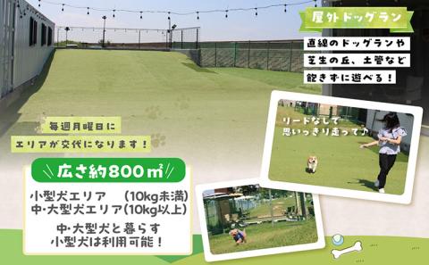 【海を一望できるドッグラン 利用チケット】ドッグラン年パス 2頭