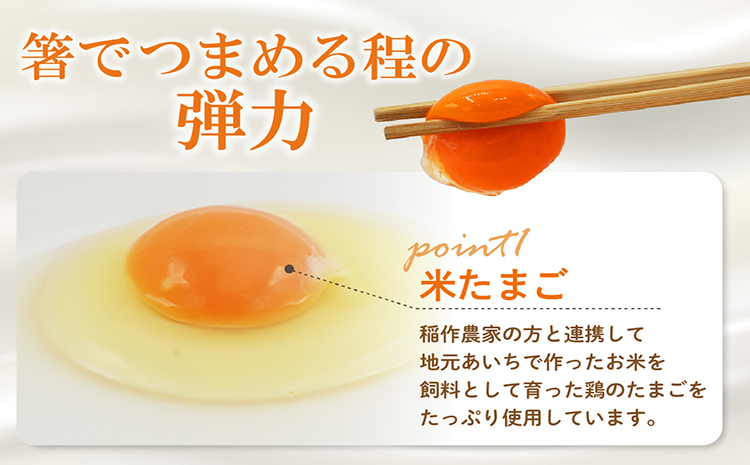 ココテラスのたまごたっぷりカステラ　(半斤 2箱)