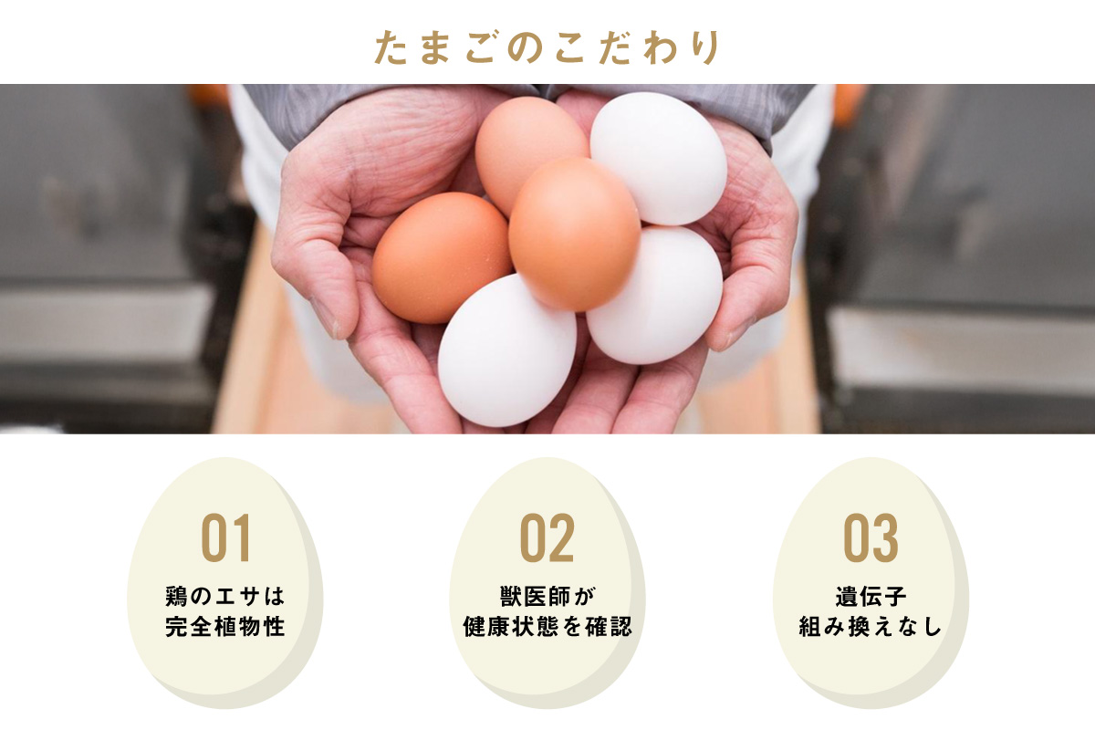 【9ヵ月定期便】ココテラスの朝日（白たまご）35個 + 5個保証（計40個）【JGAP認証】