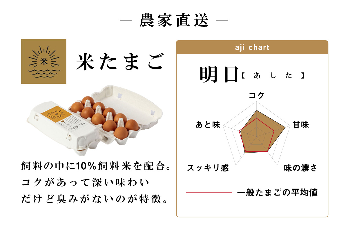 【6ヵ月定期便】ココテラスの明日（赤たまご）15個 + 5個保証（計20個）【JGAP認証】