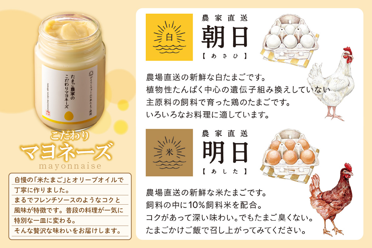 【お歳暮 外熨斗対応可能】ココテラスの満足セットココテラス デイリーファーム セット カステラ マドレーヌ マヨネーズ たまご 卵 朝日 明日 スイーツ お菓子 プレゼント 贈り物 ギフト ギフトセット お取り寄せ 愛知県 常滑市