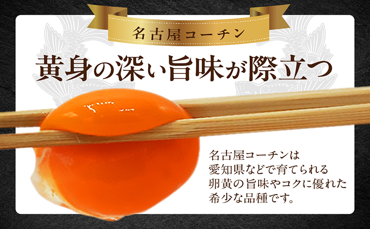 【高級】名古屋コーチン 4パック（計24個）【JGAP認証】