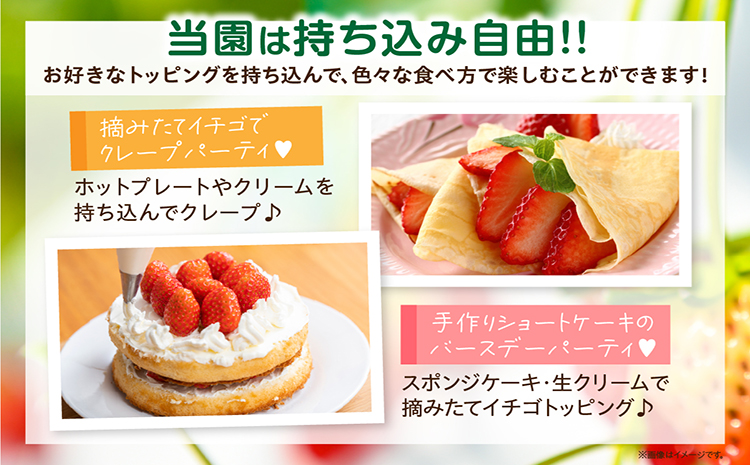 4種類のいちごが50分食べ放題！！いちご狩り体験（4月1日～5月連休）【大人1名】苺 いちご狩り 苺狩り 体験 あきひめ 紅ほっぺ ゆめのか よつぼし トッピング 持込可能 練乳 クレープ 子連れ 観光 常滑市 ふるさと納税