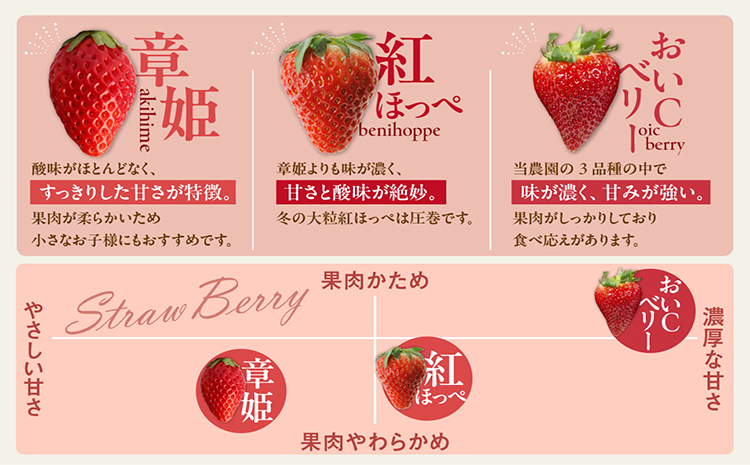 2～3品種の苺を食べ比べ！いちご狩り体験【4月6日まで】大人1名分　いちご 苺 イチゴ ストロベリー いちご狩り 苺狩り レジャー お出かけ 体験 春休み 旅行 家族 いちごろ farmいちごろ 愛知県 常滑市