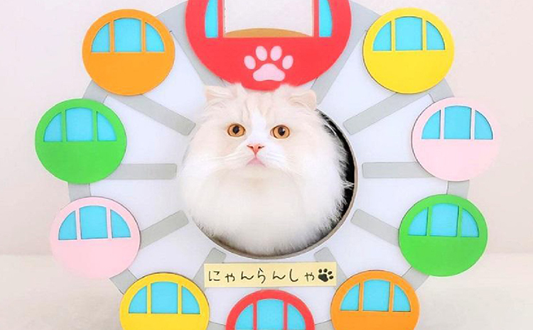 猫の爪とぎ　にゃん覧車