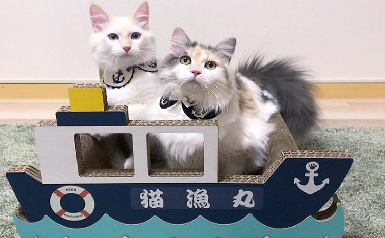 猫の爪とぎ　漁船