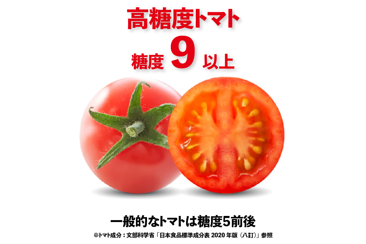 トマト好きが、恋をする。　1kg　金赤トマトミニ 野菜 新鮮野菜 夏野菜 旬野菜 生野菜 ミニトマト プチトマト フルーツ トマト 国産 味が濃い 濃厚 高糖度 甘い ビタミンC リコピン お弁当 サラダ マリネ 前菜 お取り寄せ 特産品 愛知県 常滑市