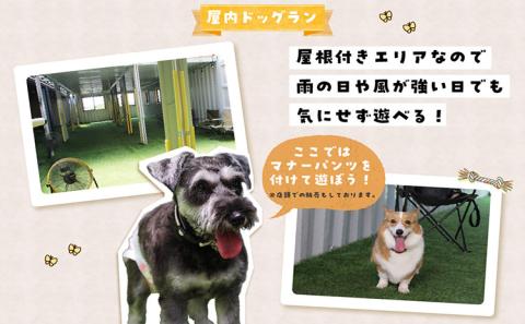 【海を一望できるドッグラン 利用チケット】ドッグラン年パス 2頭