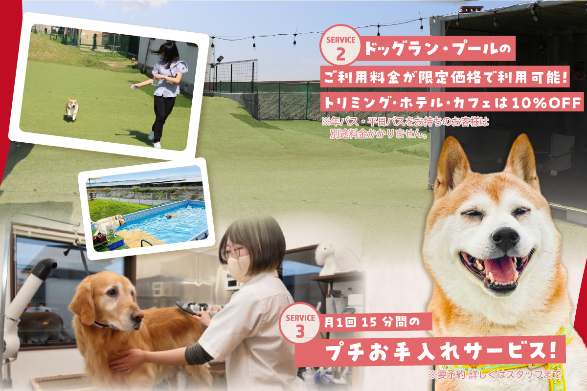 【海を一望できるドッグラン 利用チケット】トワテラメンバーズ＋年パス 1頭