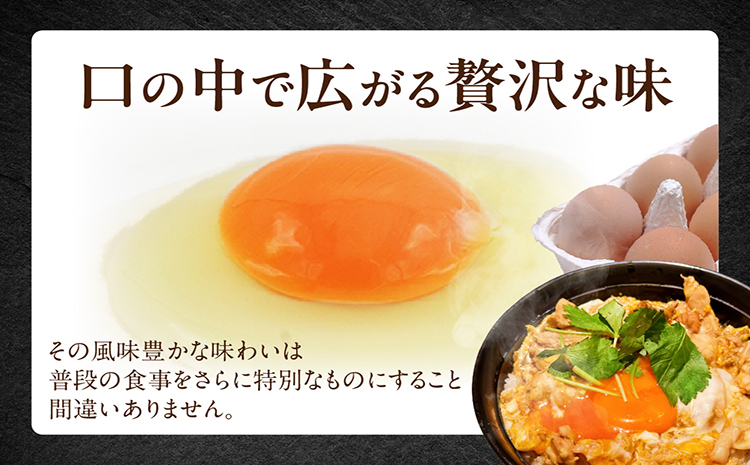 【高級】名古屋コーチン 4パック（計24個）【JGAP認証】