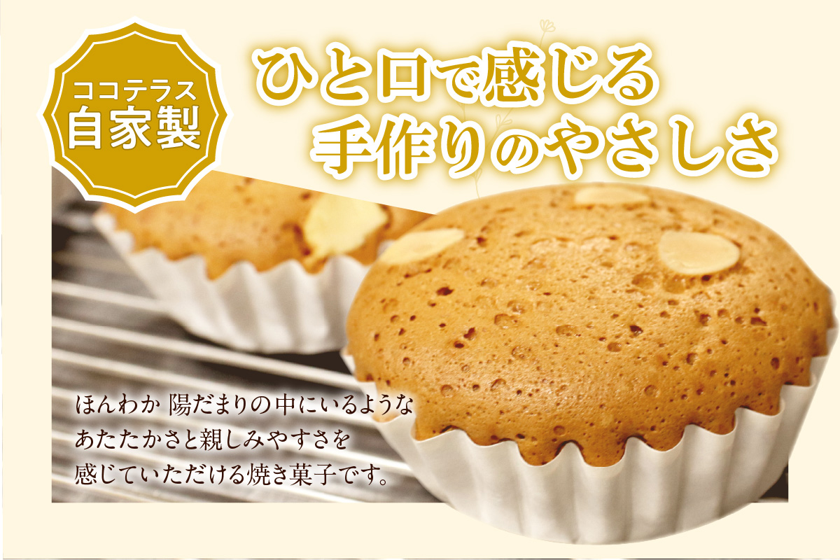 ３種類の焼き菓子の手土産セット｜ココテラス デイリーファーム セット カステラ マドレーヌ クッキー スイーツ お菓子 プレゼント 贈り物 ギフト ギフトセット お取り寄せ 愛知県 常滑市
