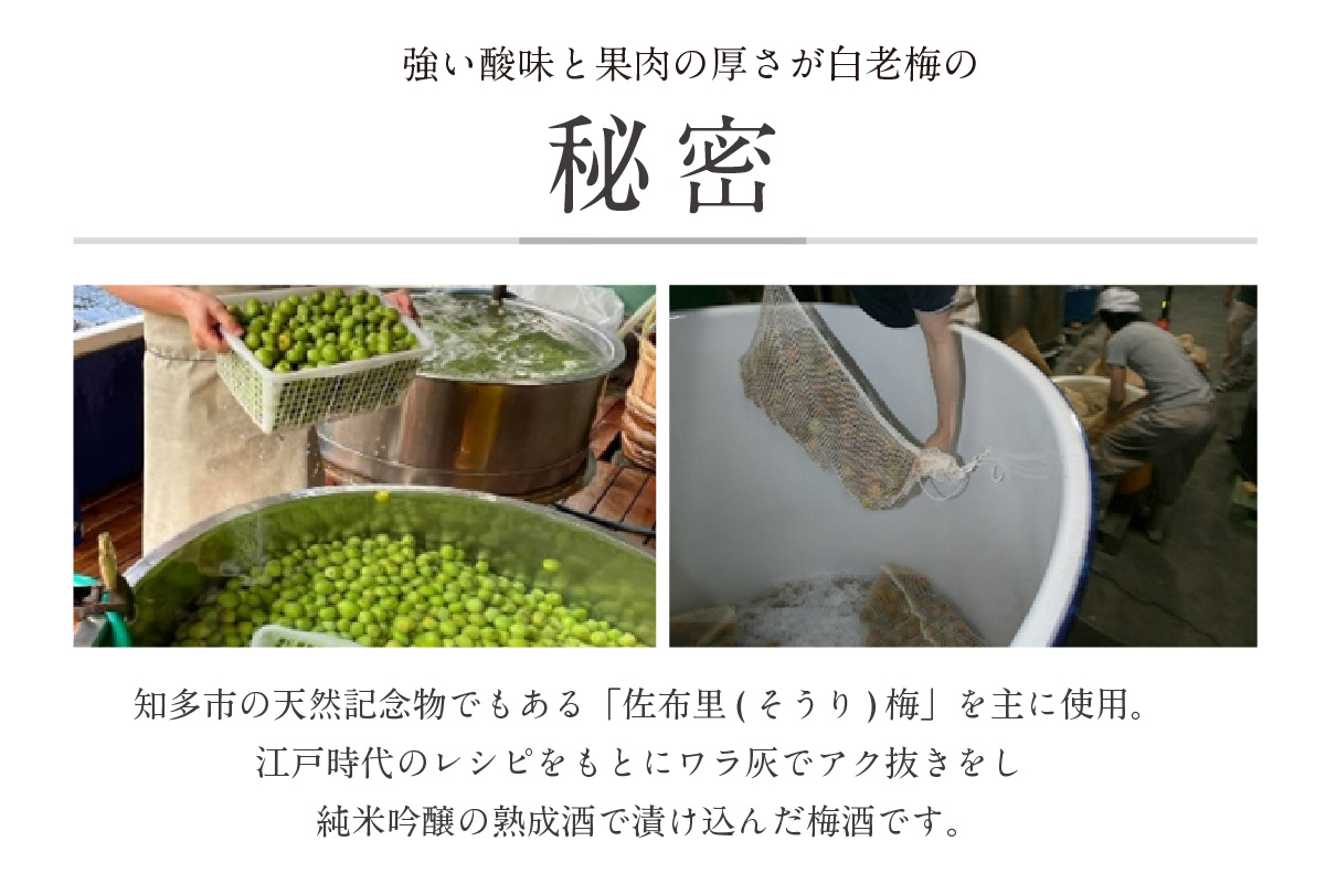 【お歳暮 内熨斗対応可能】知多の梅酒 『純米吟醸仕込みの梅酒 白老梅(500ml)』