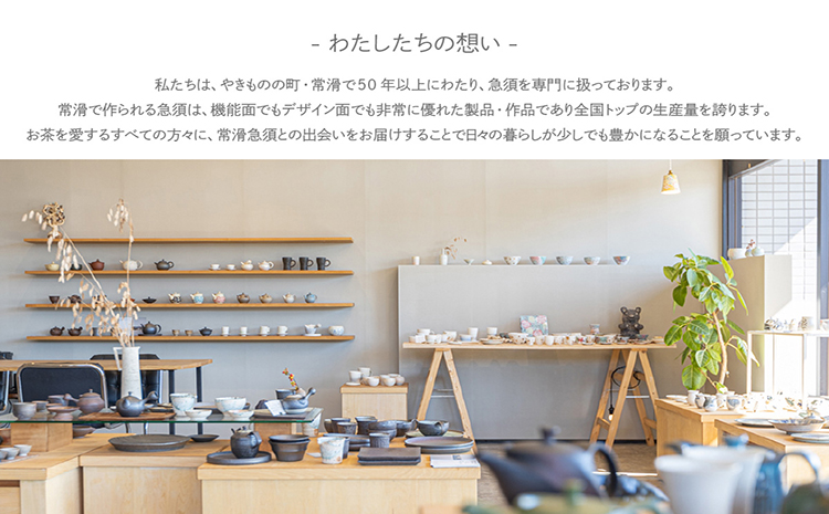 常滑焼急須　TAKASUKE　（shiro-2 横手右）