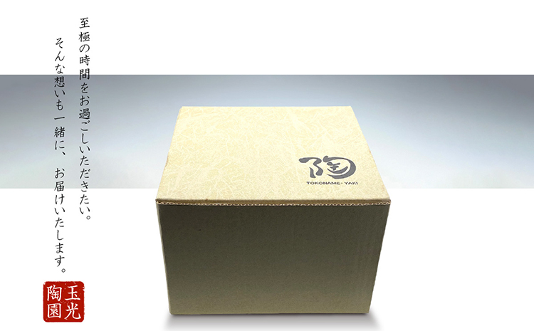 常滑焼急須　黒泥　柿