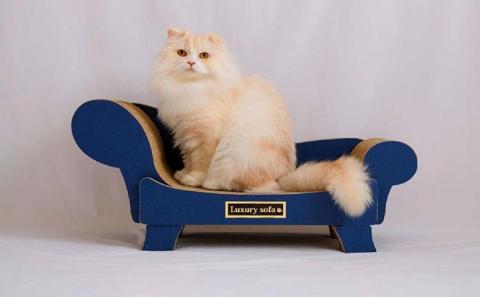 猫の爪とぎ　ラグジュアリーソファ（カラー：白）