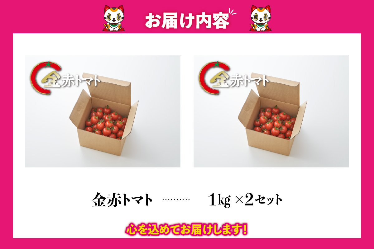 トマト好きが、恋をする。　2kg　金赤トマトミニ 野菜 新鮮野菜 夏野菜 旬野菜 生野菜 ミニトマト プチトマト フルーツ トマト 国産 味が濃い 濃厚 高糖度 甘い ビタミンC リコピン お弁当 サラダ マリネ 前菜 お取り寄せ 特産品 愛知県 常滑市