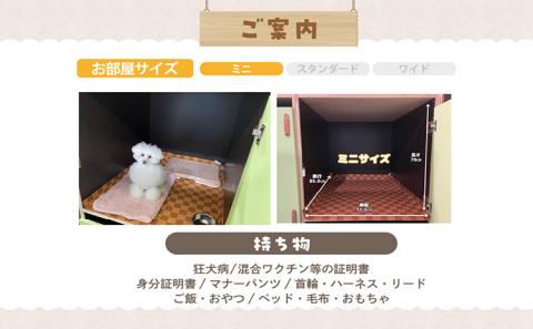 【海を一望できるドッグラン 利用チケット】ホテル ミニ1泊2日