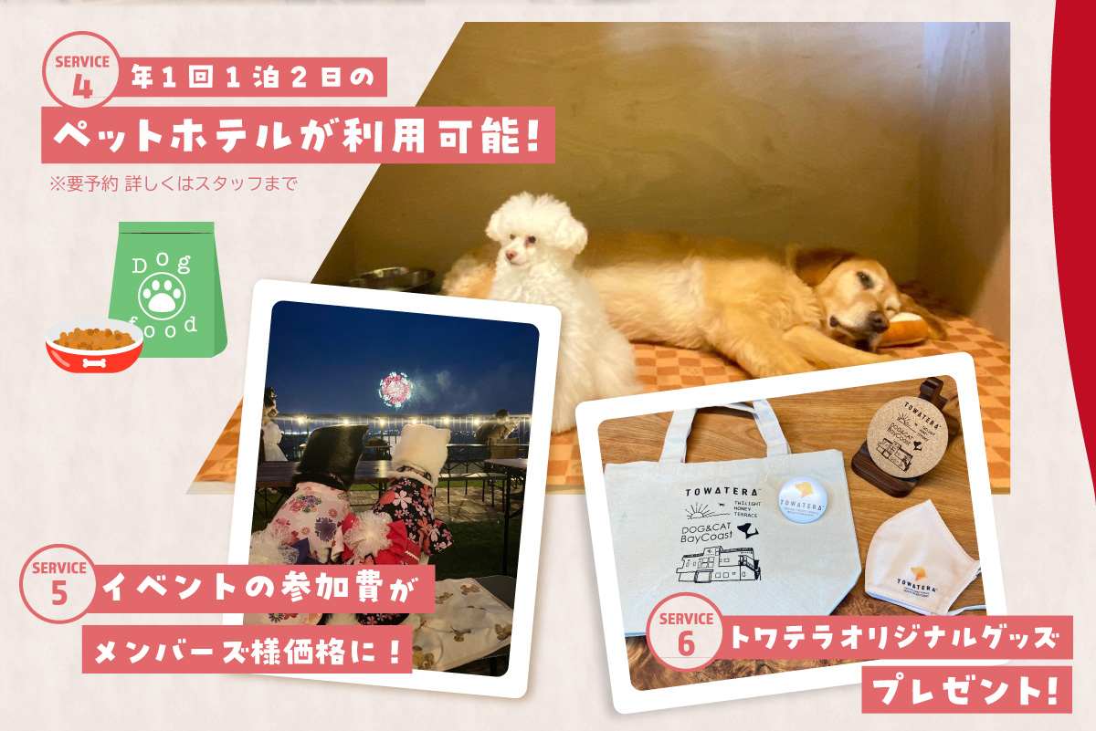 【海を一望できるドッグラン 利用チケット】トワテラメンバーズ＋年パス 1頭