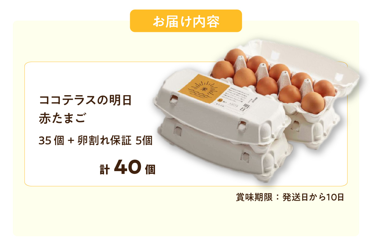 ココテラスの明日（赤たまご）35個+5個保証（計40個）【JGAP認証】