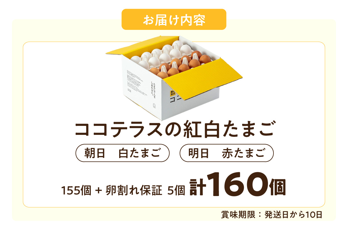 ココテラスの紅白たまご　155個 + 5個保証（計160個）【JGAP認証】