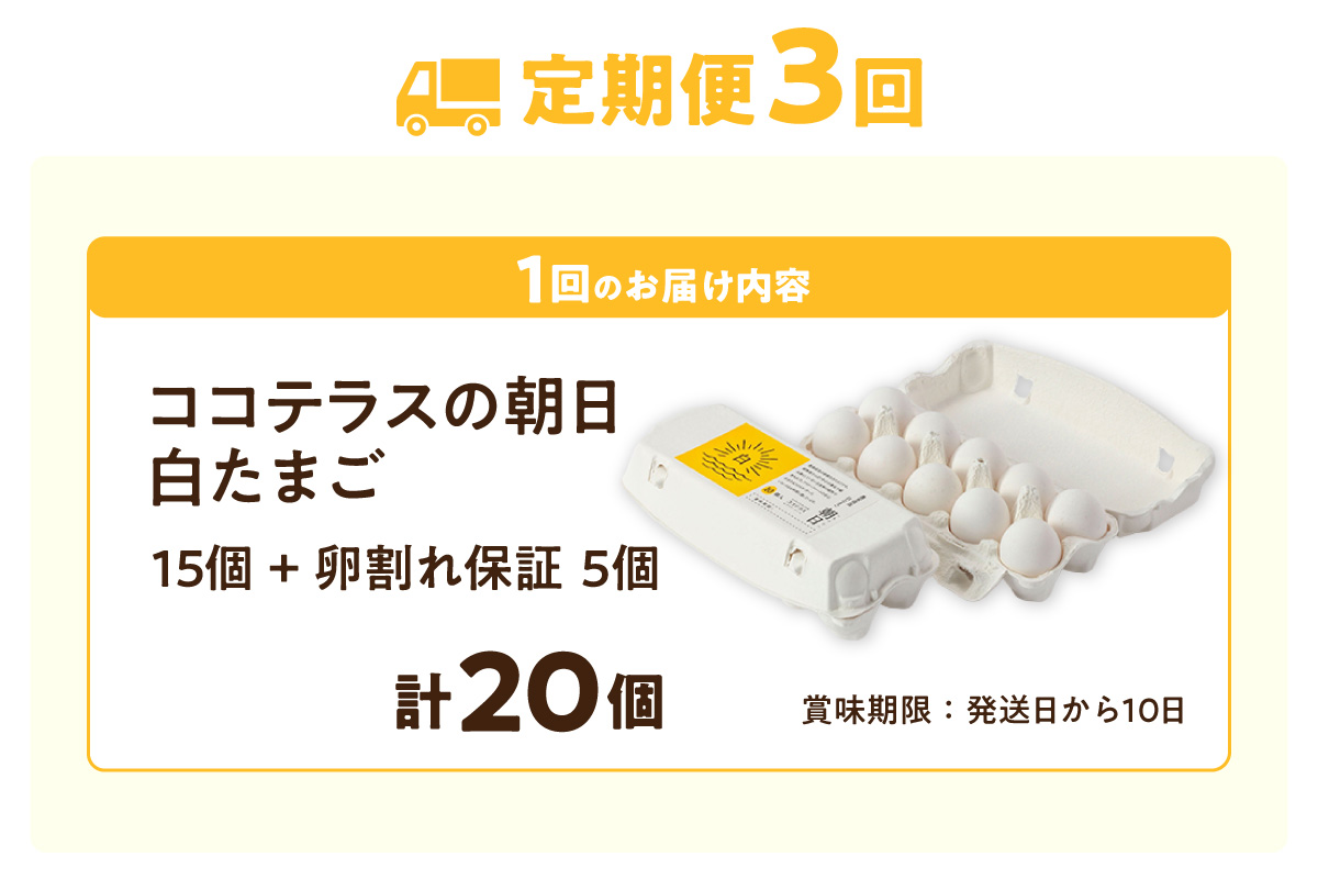 【3ヵ月定期便】ココテラスの朝日（白たまご）15個 + 5個保証（計20個）【JGAP認証】