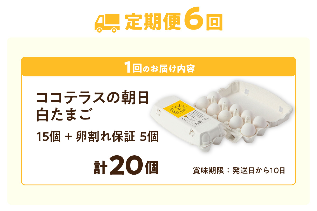 【6ヵ月定期便】ココテラスの朝日（白たまご）15個 + 5個保証（計20個）【JGAP認証】