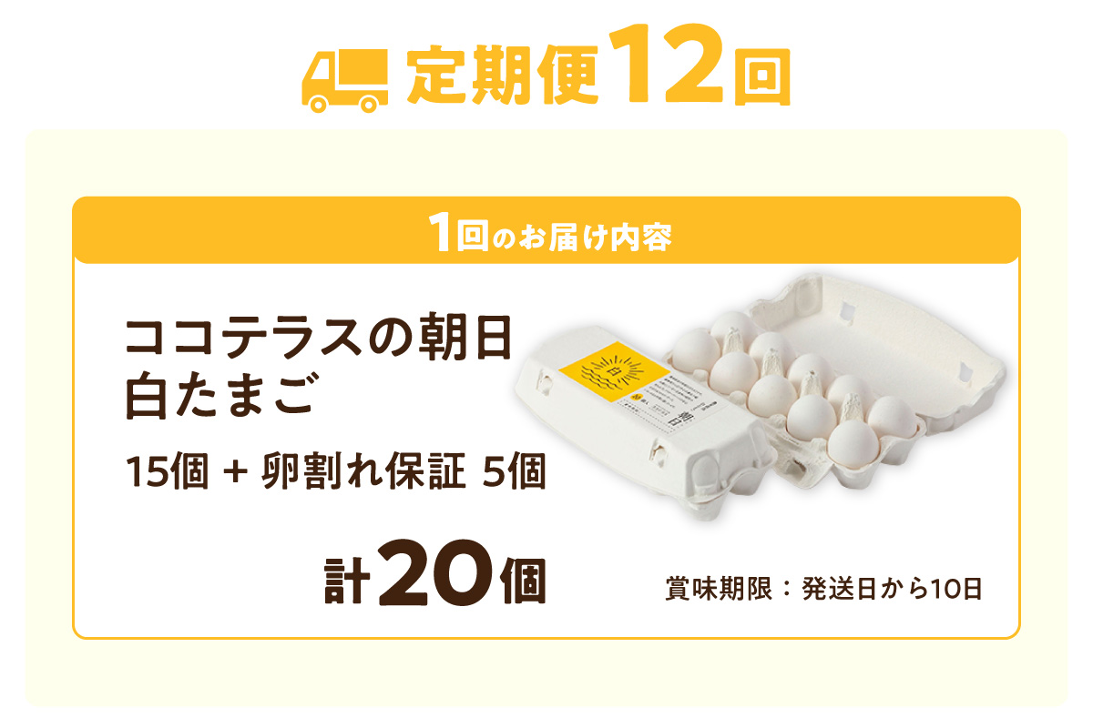 【12ヵ月定期便】ココテラスの朝日（白たまご）15個 + 5個保証（計20個）【JGAP認証】