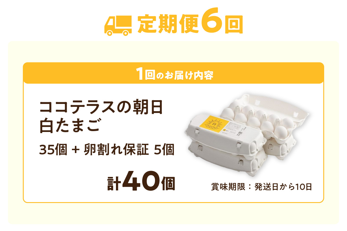 【6ヵ月定期便】ココテラスの朝日（白たまご）35個 + 5個保証（計40個）【JGAP認証】