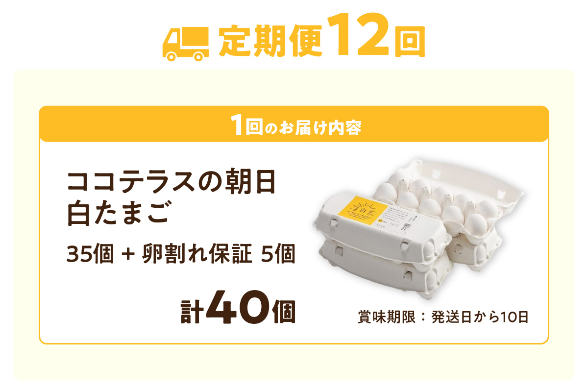 【12ヵ月定期便】ココテラスの朝日（白たまご）35個 + 5個保証（計40個）【JGAP認証】