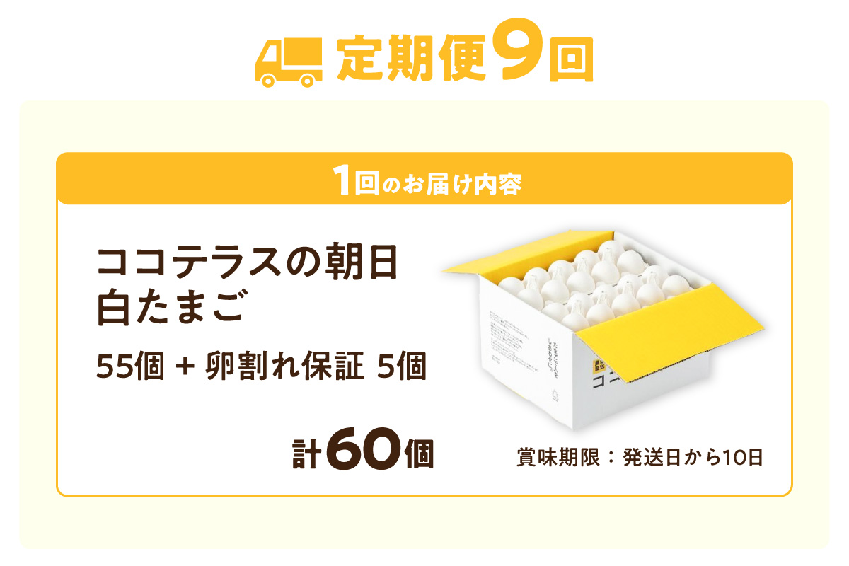 【9ヵ月定期便】ココテラスの朝日（白たまご）55個 + 5個保証（計60個）