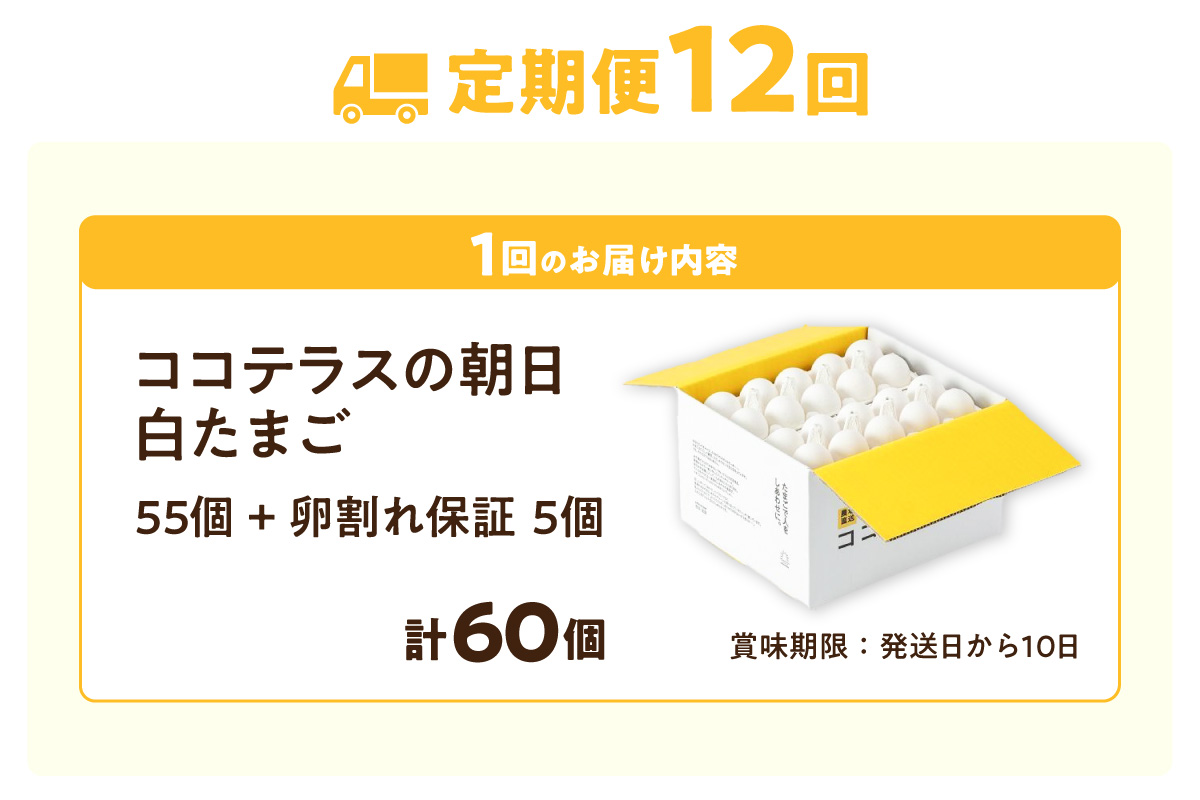 【12ヵ月定期便】ココテラスの朝日（白たまご）55個 + 5個保証（計60個）【JGAP認証】