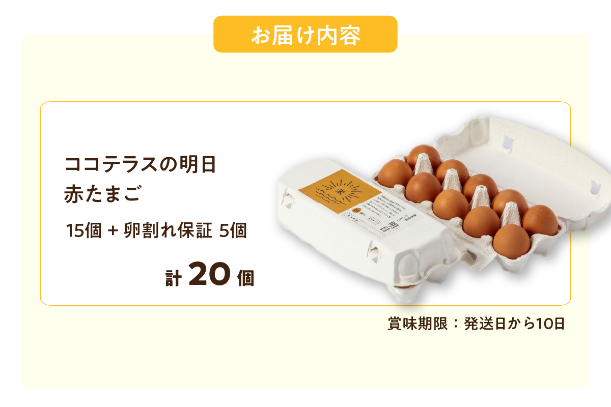 ココテラスの明日（赤たまご）15個 + 5個保証（計20個）【JGAP認証】