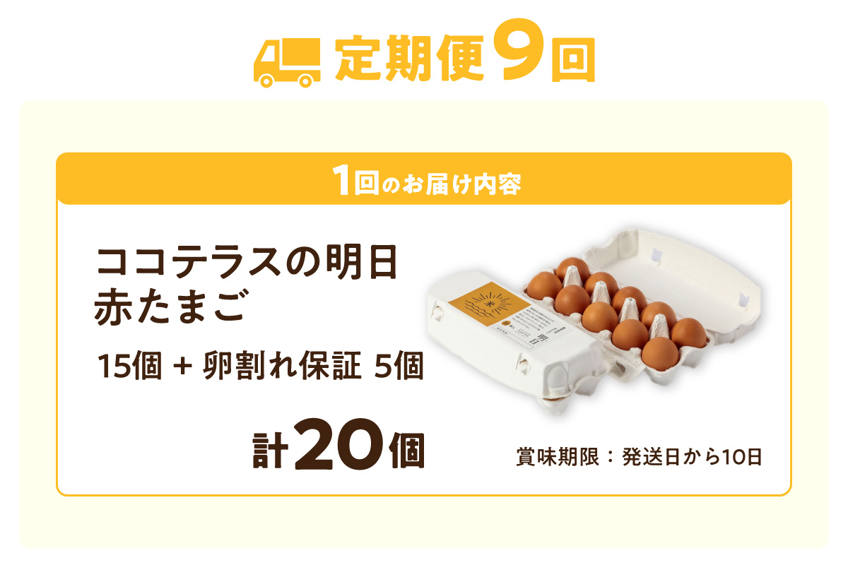 【9ヵ月定期便】ココテラスの明日（赤たまご）15個 + 5個保証（計20個）【JGAP認証】