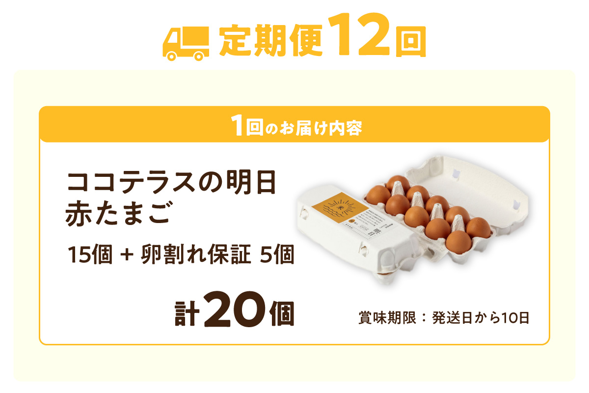 【12ヵ月定期便】ココテラスの明日（赤たまご）15個 + 5個保証（計20個）【JGAP認証】