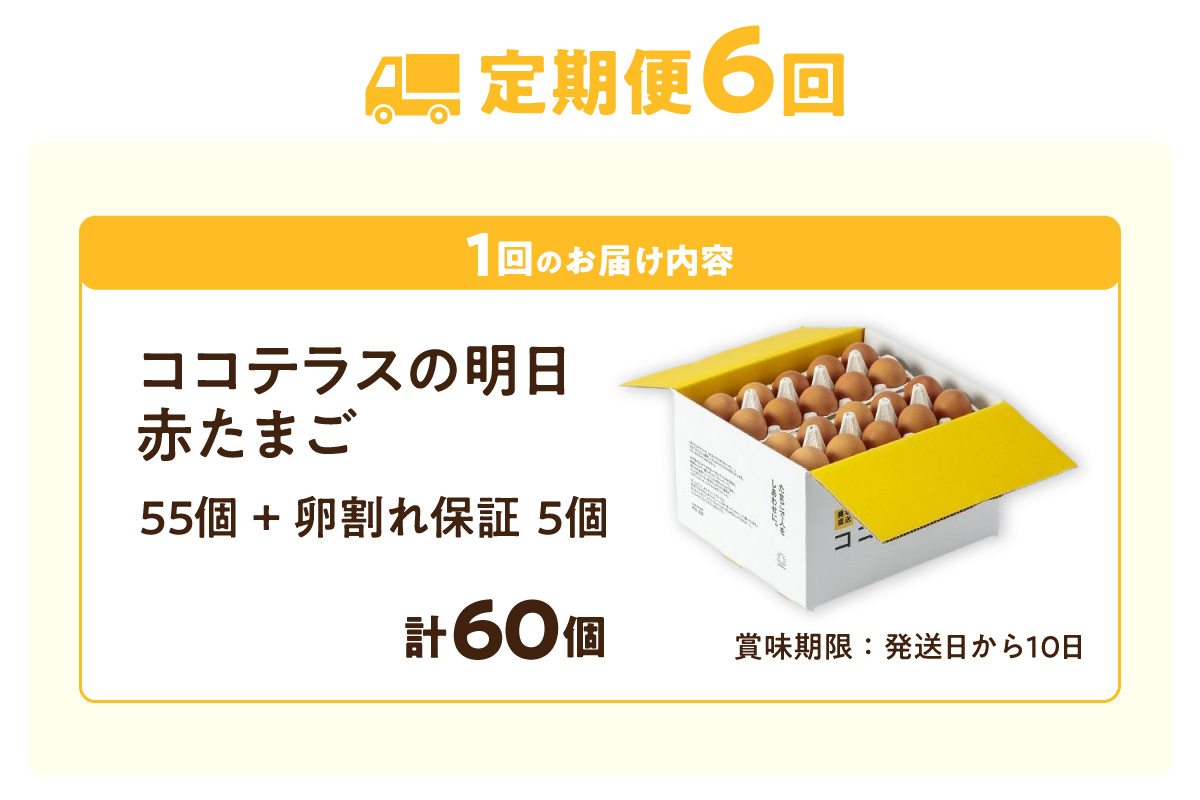 【6ヵ月定期便】ココテラスの明日（赤たまご）55個 + 5個保証（計60個）【JGAP認証】