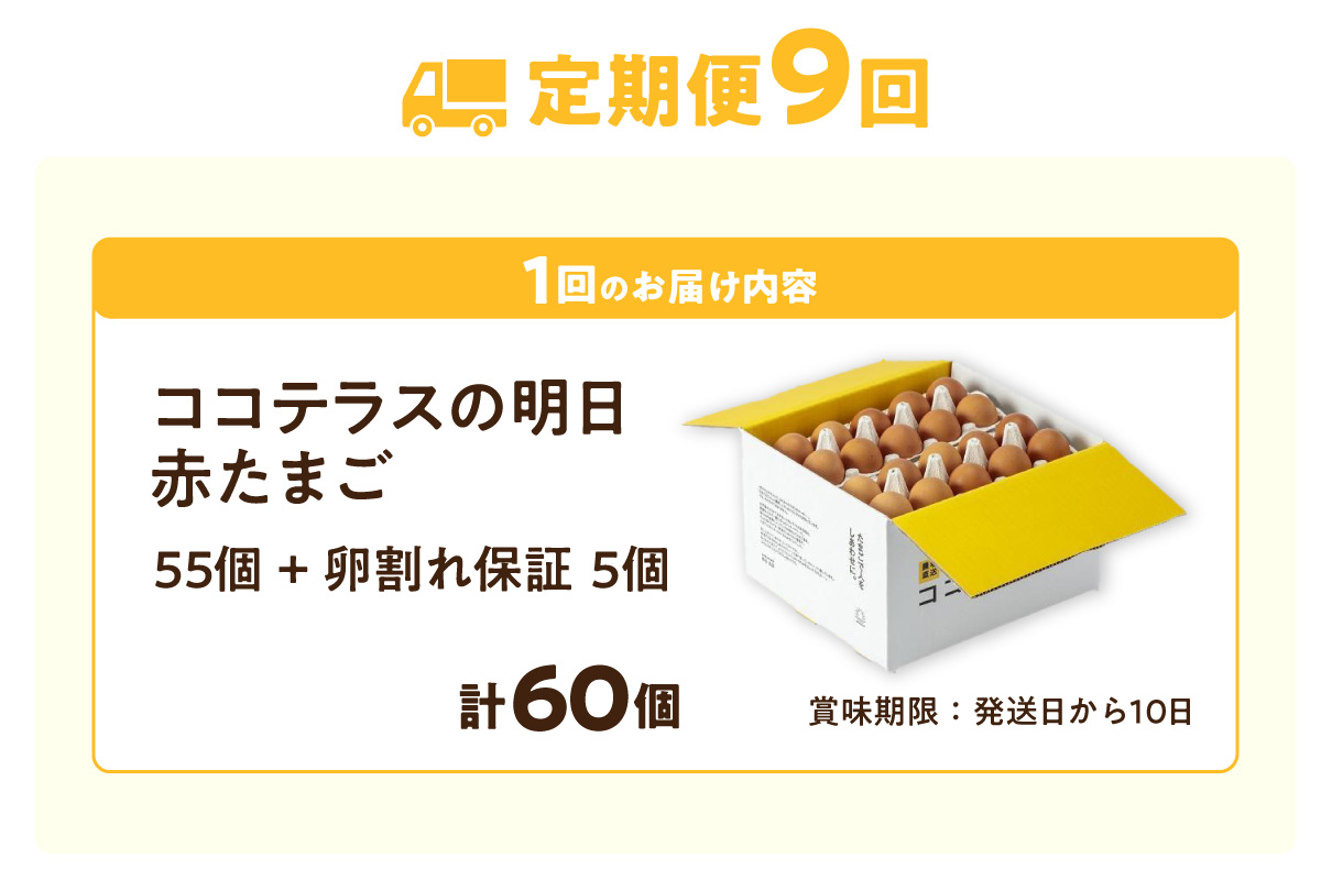 【9ヵ月定期便】ココテラスの明日（赤たまご）55個 + 5個保証（計60個）【JGAP認証】