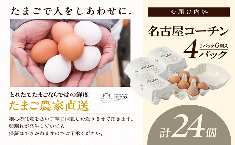 【高級】名古屋コーチン 4パック（計24個）【JGAP認証】